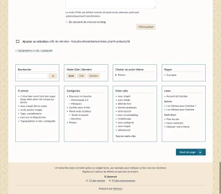 copie d'écran du pied de page du thème en version de base, mode clair